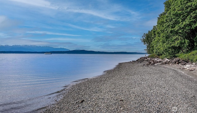 10857 Arroyo Beach Pl SW, Seattle, WA 98146