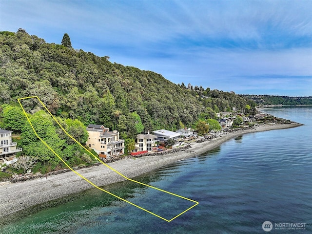 10857 Arroyo Beach Pl SW, Seattle, WA 98146