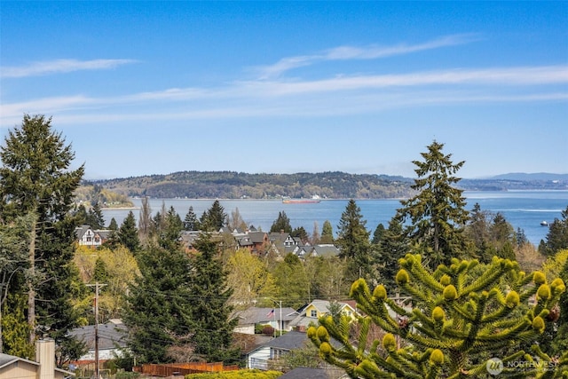 4950 N Lexington St, Tacoma, WA 98407 - water view