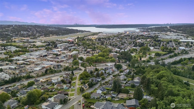 420 Renton Ave S, Renton, WA 98057 - aerial overview of property's location with a large body of water