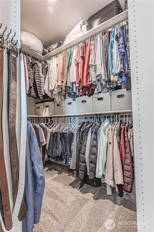 819 N Newport Loop, East Wenatchee, WA 98802 - view of spacious closet