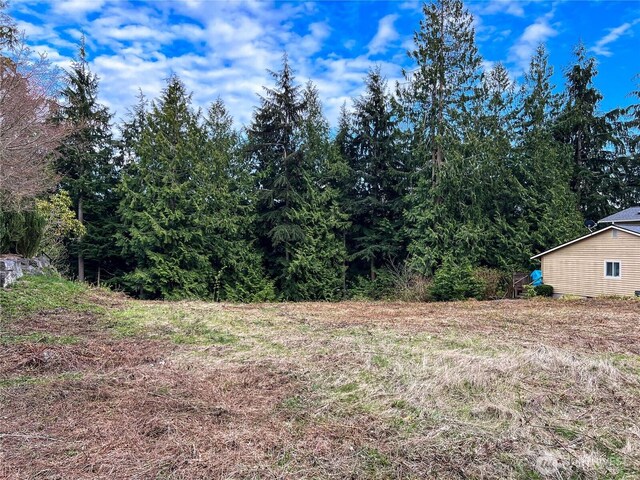 999 Highland Dr, Port Ludlow, WA 98365 - photo 8