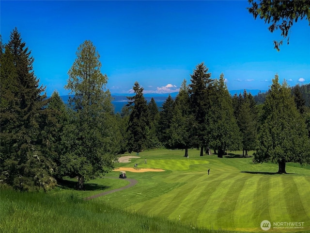 999 Highland Dr, Port Ludlow, WA 98365 - photo 11