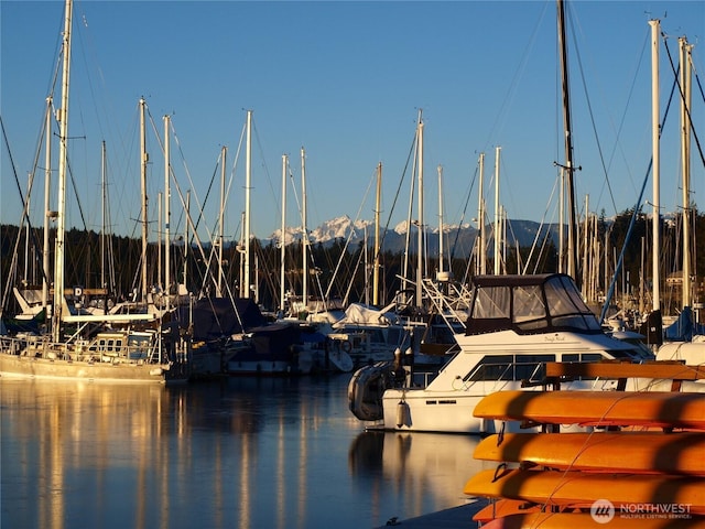 999 Highland Dr, Port Ludlow, WA 98365 - photo 19