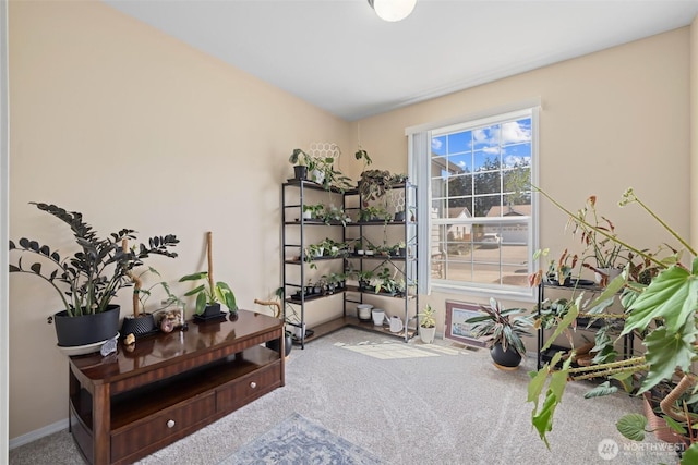 living area featuring carpet floors and baseboards