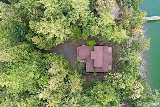 244 Davison Head Dr, Friday Harbor, WA 98250 - aerial view of property's location