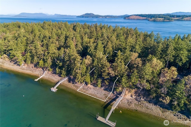 244 Davison Head Dr, Friday Harbor, WA 98250 - aerial view of property's location with a water and mountain view