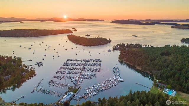 244 Davison Head Dr, Friday Harbor, WA 98250 - bird's eye view of numerous boat docks and a nearby body of water