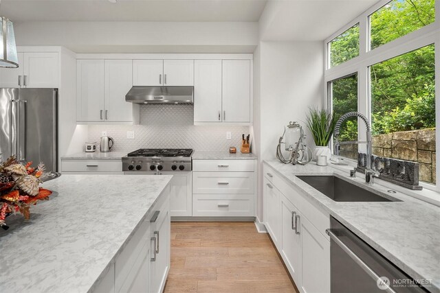 4012 129th Pl SE Unit 2, Bellevue, WA 98006 - kitchen with stainless steel appliances, under cabinet range hood, a sink, backsplash, and light stone counters