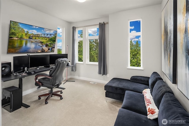 4012 129th Pl SE Unit 2, Bellevue, WA 98006 - office with carpet floors and baseboards