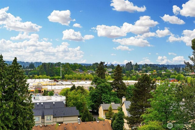 4012 129th Pl SE Unit 2, Bellevue, WA 98006 - aerial view of a heavily wooded area