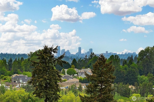 4012 129th Pl SE Unit 2, Bellevue, WA 98006 - mountain view with a heavily wooded area
