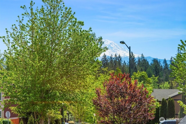view of mountain background