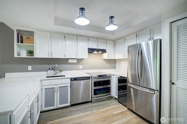 4214 W Lake Sammamish Pkwy NE Unit 202, Redmond, WA 98052 - kitchen with stainless steel appliances, a sink, under cabinet range hood, open shelves, and light countertops