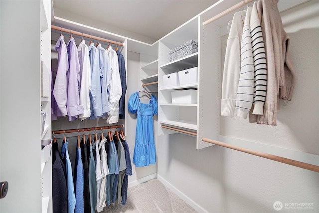4214 W Lake Sammamish Pkwy NE Unit 202, Redmond, WA 98052 - spacious closet featuring carpet