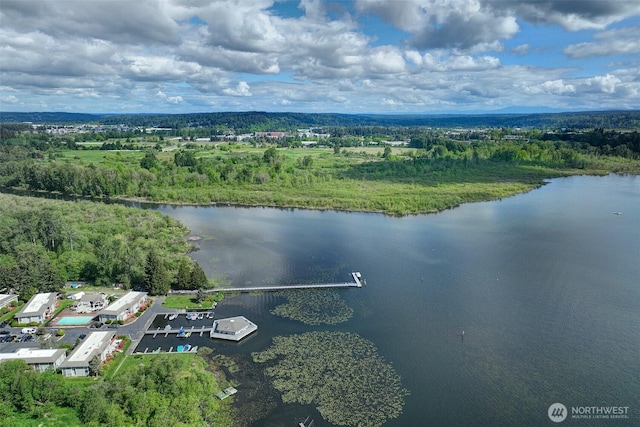 4214 W Lake Sammamish Pkwy NE Unit 202, Redmond, WA 98052 - aerial view of a large body of water