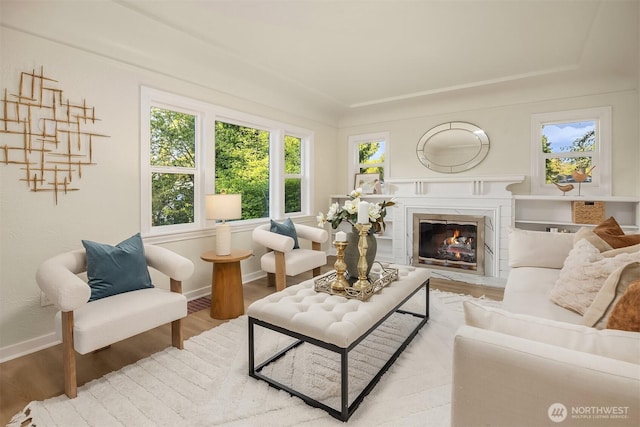 2223 NE 125th St, Seattle, WA 98125 - living area featuring a premium fireplace, baseboards, and light wood-style flooring