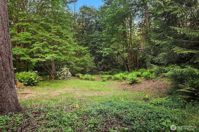 21629 NE 20th Way, Sammamish, WA 98074 - view of yard featuring a forest view