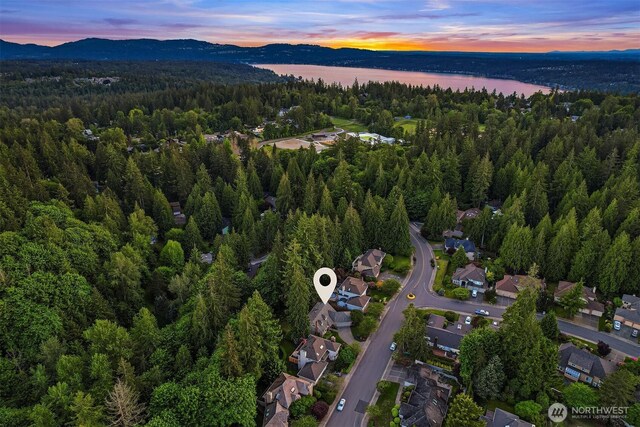 21629 NE 20th Way, Sammamish, WA 98074 - aerial view at dusk of a view of trees and a water and mountain view