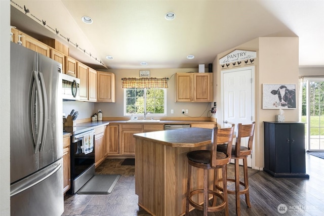 138 Bruinview Ln, Chehalis, WA 98532 - kitchen featuring appliances with stainless steel finishes, healthy amount of natural light, a sink, light brown cabinets, and recessed lighting