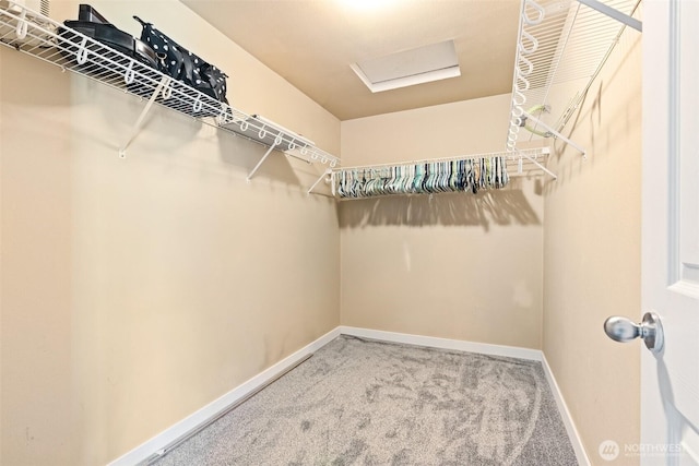 138 Bruinview Ln, Chehalis, WA 98532 - walk in closet featuring carpet floors and attic access