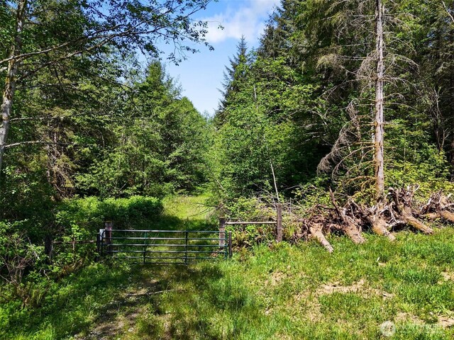 138 Bruinview Ln, Chehalis, WA 98532 - view of yard featuring a forest view, a gate, and fence