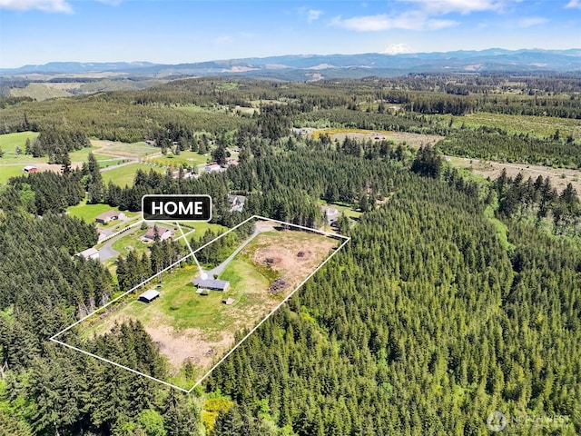 138 Bruinview Ln, Chehalis, WA 98532 - aerial view of property's location with a forest, a mountainous background, and property boundaries highlighted