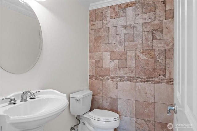 27546 254th Way SE, Maple Valley, WA 98038 - bathroom featuring a sink, toilet, and ornamental molding