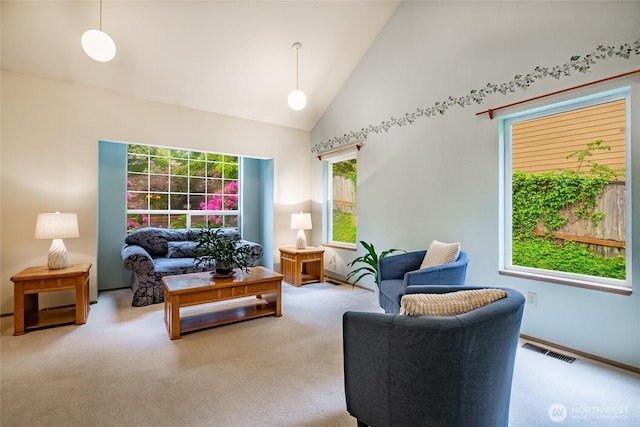 1117 W Racine St, Bellingham, WA 98229 - living area with carpet flooring, high vaulted ceiling, and baseboards