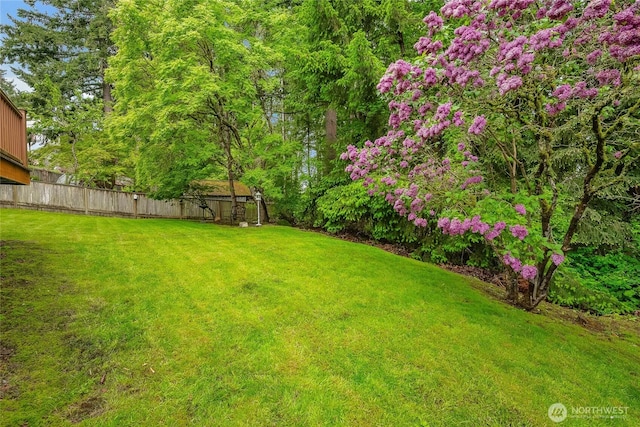 1117 W Racine St, Bellingham, WA 98229 - view of yard