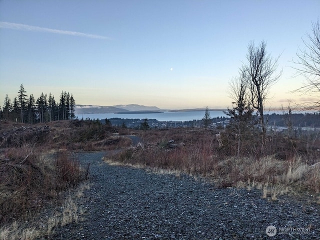 1117 W Racine St, Bellingham, WA 98229 - view of yard featuring a water and mountain view