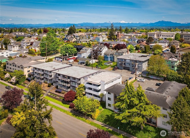 aerial perspective of suburban area with a mountainous background