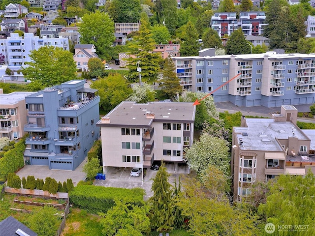 bird's eye view
