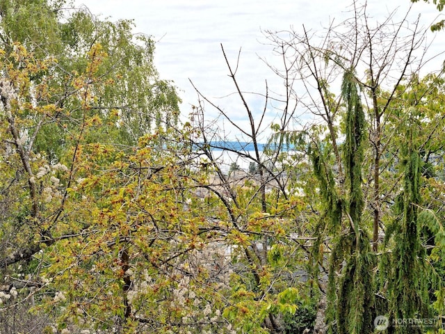 view of undeveloped land