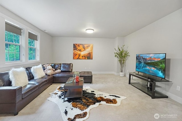 733 222nd Pl NE, Sammamish, WA 98074 - carpeted living area with baseboards