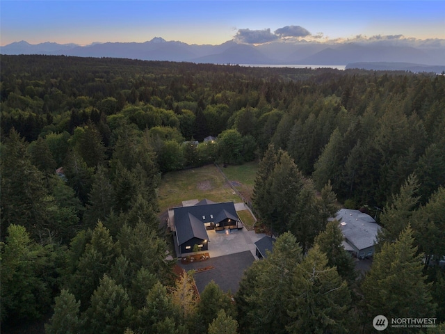 9371 Willamette Meridian Rd NW, Silverdale, WA 98383 - view of property location featuring a forest and a mountain backdrop