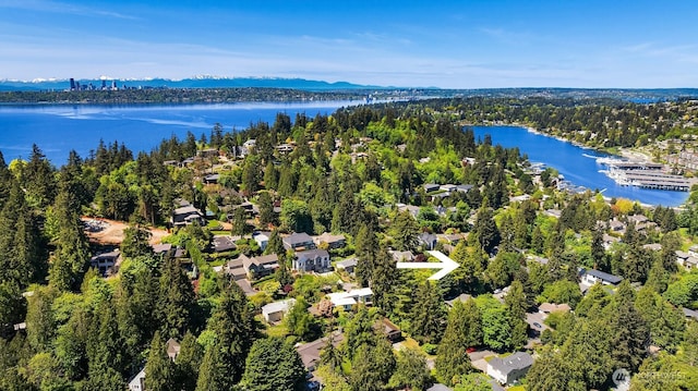 806 101st Ave SE, Bellevue, WA 98004 - drone / aerial view of a large body of water