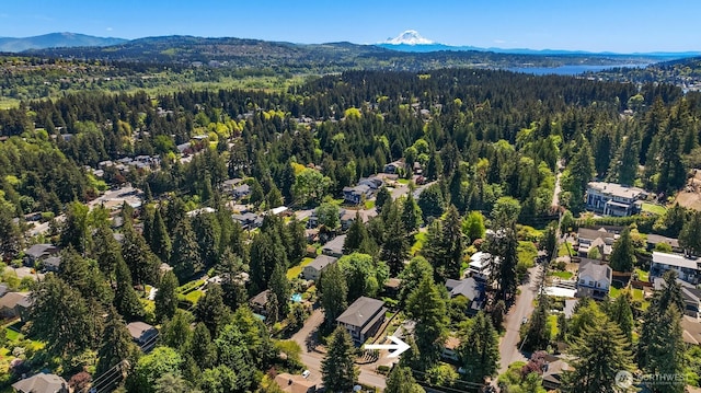 806 101st Ave SE, Bellevue, WA 98004 - drone / aerial view of a forest and a mountain backdrop