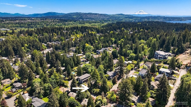 806 101st Ave SE, Bellevue, WA 98004 - bird's eye view of a forest and a mountain backdrop
