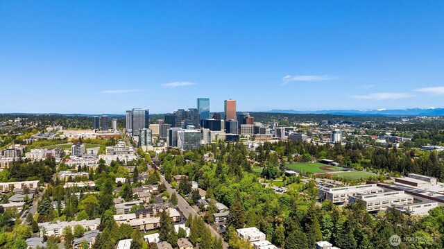 806 101st Ave SE, Bellevue, WA 98004 - view of urban area