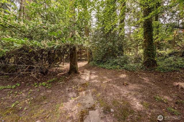 377 Stellar Ridge Ln, Sequim, WA 98382 - view of wooded area