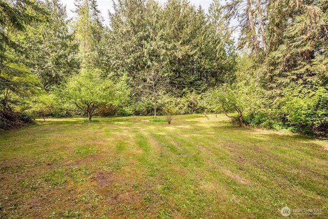 377 Stellar Ridge Ln, Sequim, WA 98382 - view of green lawn featuring a wooded view