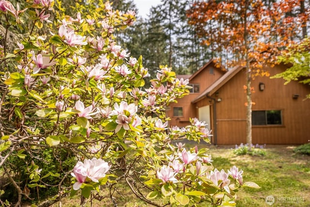 377 Stellar Ridge Ln, Sequim, WA 98382 - view of yard