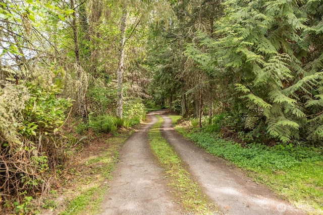 377 Stellar Ridge Ln, Sequim, WA 98382 - view of dirt / gravel road with a forest view