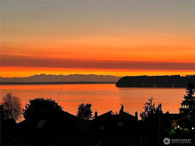 10326 66th Pl W, Mukilteo, WA 98275 - water view with mountains