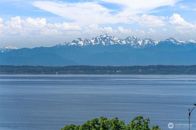 10326 66th Pl W, Mukilteo, WA 98275 - water view with a mountain backdrop and a heavily wooded area