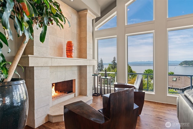 10326 66th Pl W, Mukilteo, WA 98275 - living area with healthy amount of natural light, a tiled fireplace, a water view, and wood finished floors