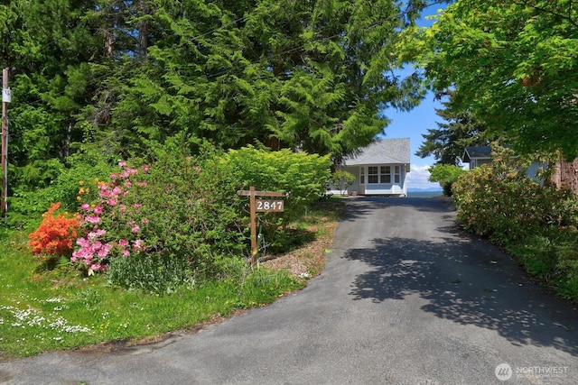 2847 Viewmont Pl, Camano Island, WA 98282 - view of property hidden behind natural elements with driveway