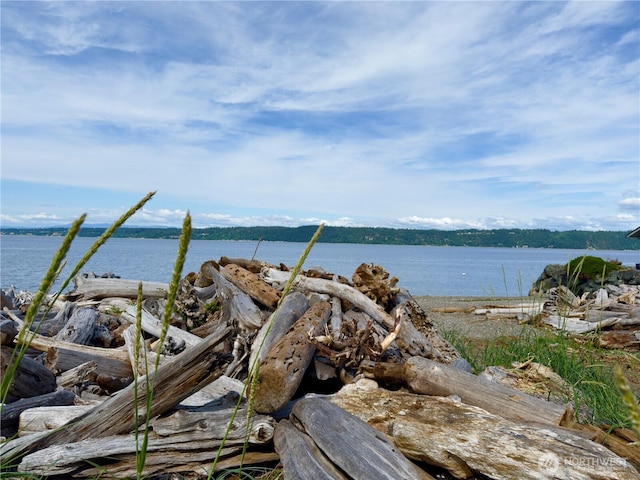 2847 Viewmont Pl, Camano Island, WA 98282 - water view