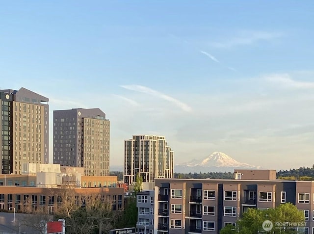 4528 8th Ave NE Unit 5A, Seattle, WA 98105 - city view